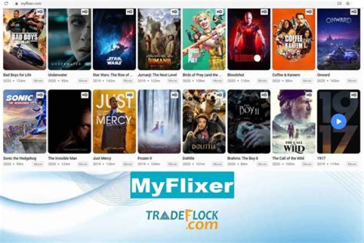Discovering The World Of Myflixer.net Movies